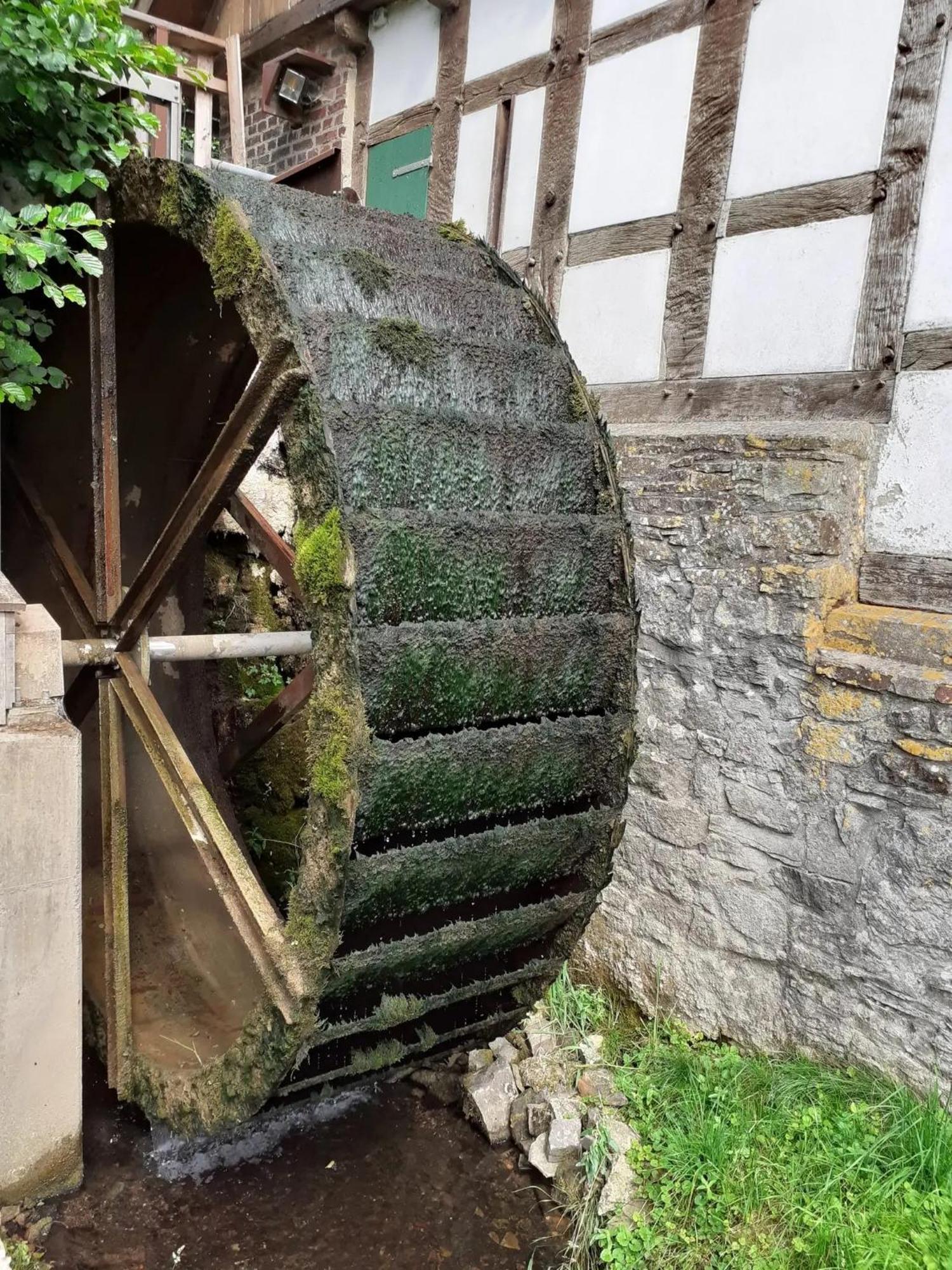 In Der Wassermuehle Melle Exteriör bild